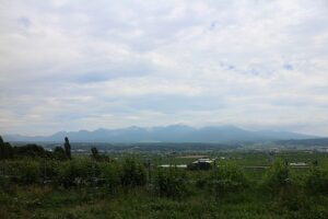 今朝の風景