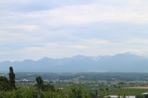 今日の風景