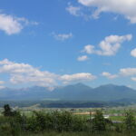 今朝の風景