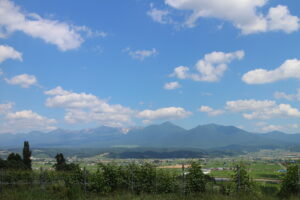 今朝の風景