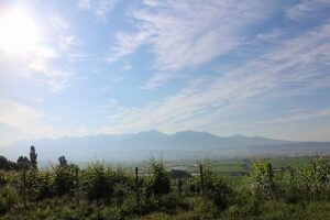 今朝の風景