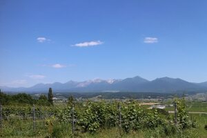 今日の風景