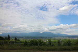 今日の風景