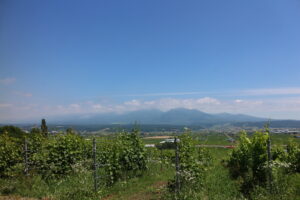 今朝の風景