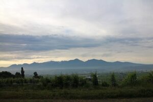 今朝の風景