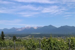 今日の風景