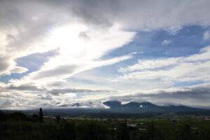 今朝の風景