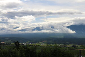 今朝の風景