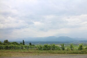今日の風景