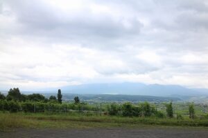 今日の風景