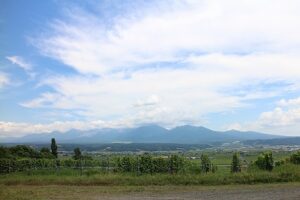 今日の風景