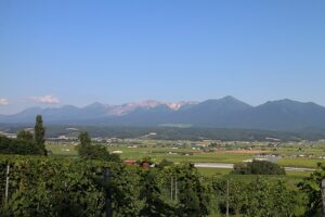 今日の風景