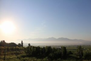 今朝の風景