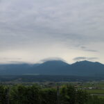 今日の風景