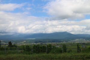 今日の風景