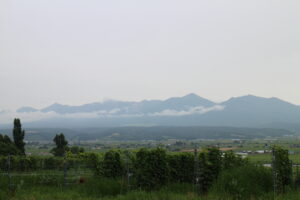 今日の風景