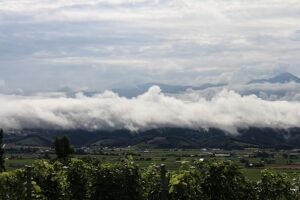 今朝の風景