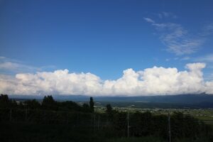 今日の風景