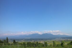 今日の風景