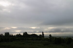 今朝の風景