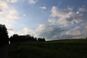19号線から