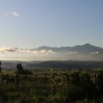 今朝の風景