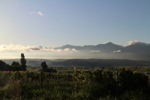 今朝の風景