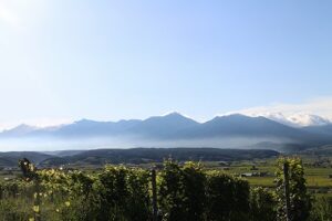 今朝の風景