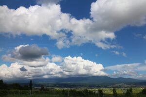 今日の風景