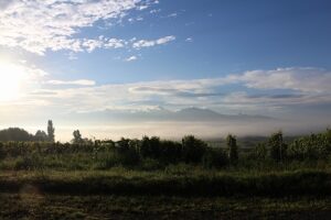 今朝の風景