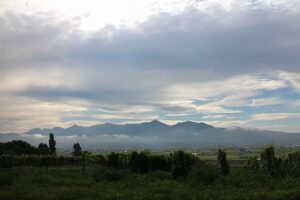 今朝の風景