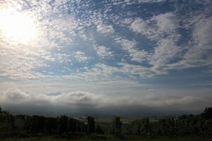今朝の空