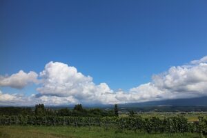 今日の空