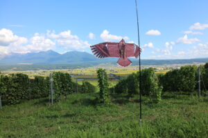 鳥よけ