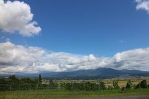 今日の風景