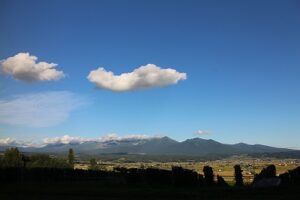 今日の風景