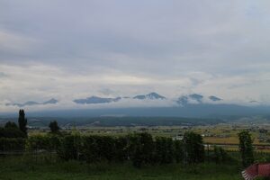 今日の風景
