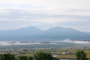 今朝の風景