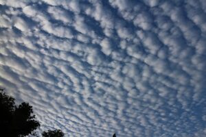 うろこ雲