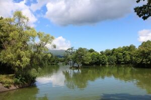 大沼公園
