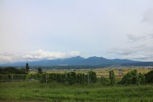 今日の風景
