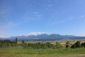 今日の風景