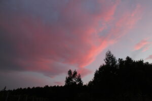 夕景