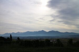 今朝の風景