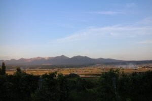 今日の風景