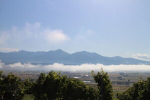 今朝の風景