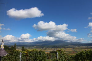 今日の風景