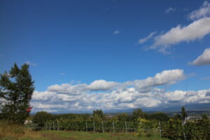 今日の風景