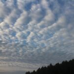 今朝の空