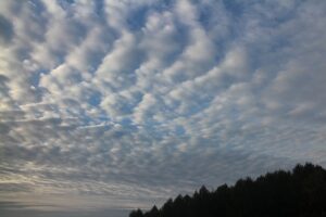 今朝の空